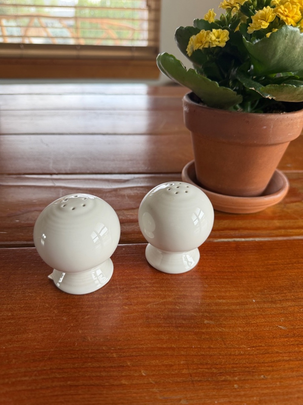 Fiestaware Salt and Pepper Shaker Set
